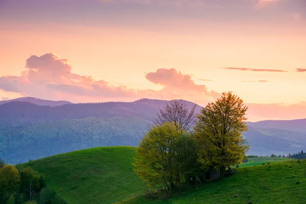 Paisagem rural nas montanhas ao entardecer — Fotografia de Stock