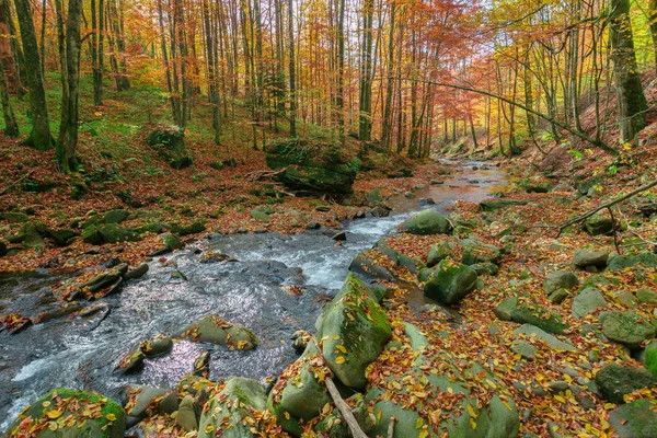 Las rzeki jesienią — Zdjęcie stockowe