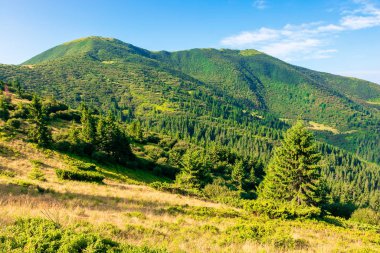 Sabahları dağ manzarası