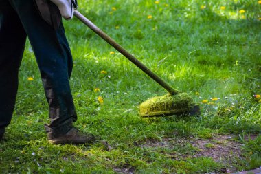 Parkta çim biçme işi. Ağaçların gölgesinde benzin budayıcı kullanan profesyonel bahçe bakımı servisi.