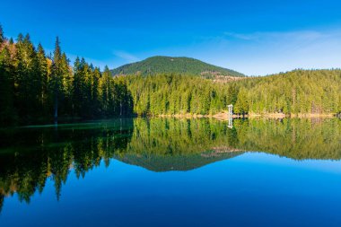 Kozalaklı ormanların arasındaki dağ gölü. Sakin sularda yansımaları olan sabah manzarası. Baharda mavi bulutsuz gökyüzü ile güneşli hava. konum Synevyr Ulusal Parkı, Ukrayna