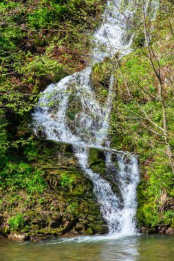 Tepedeki ormandan gelen şelale. İlkbaharda güzel doğa manzarası. güneşli hava