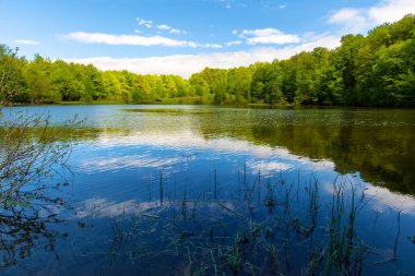Kozalaklı ormanların arasında dağ gölü manzarası. İlkbaharda öğle vakti harika bir doğa manzarası..