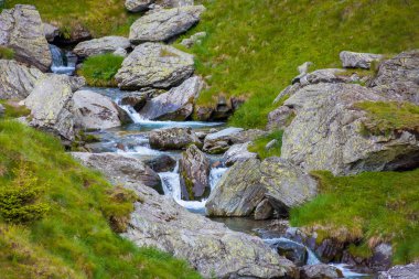 Kayaların arasındaki balea akıntısı. İbnelerin güzel doğa manzarası Romanya 'yı sarmış.