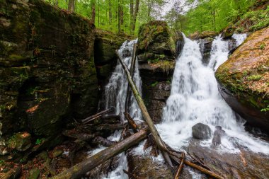 Ormanda şelale. İki bölüm akışı. Kataraktta devrilmiş ağaçlar. İlkbaharda güzel doğa manzarası. Voievodyn, Transcarpathia, Ukrayna