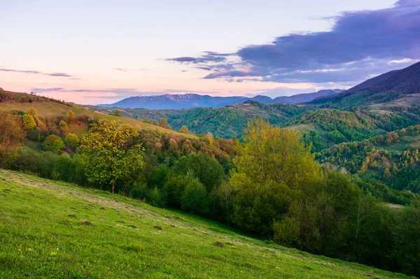 Rural Landscape Mountains Dusk Amazing View Carpathian Countryside Fields Trees — Stock Photo, Image