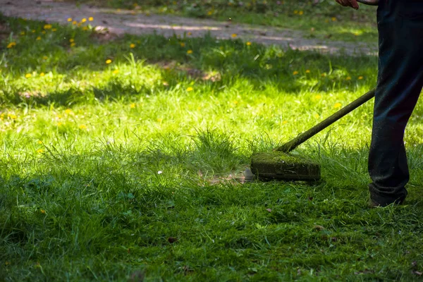 公園で草を刈る作業だ木の陰でガソリントリマーを使用した専門的な芝生のケアサービス — ストック写真