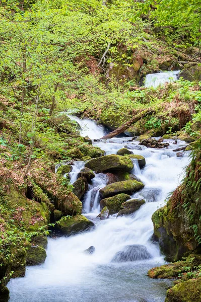 Rychlý Proud Vody Lese Silný Proud Mezi Mechem Porostlými Skálami — Stock fotografie
