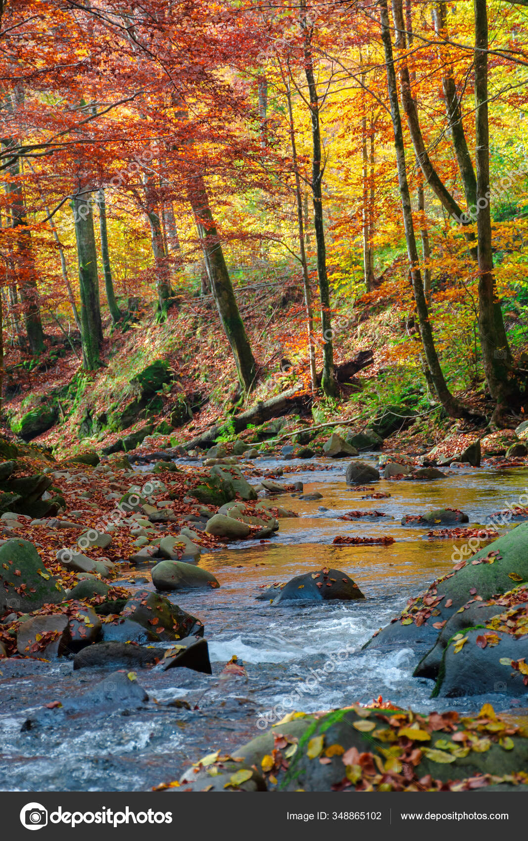 Scenic View of the Rapids at Pewit's Nest Natural Area, Wisconsin image -  Free stock photo - Public Domain photo - CC0 Images, image size:1067x1700