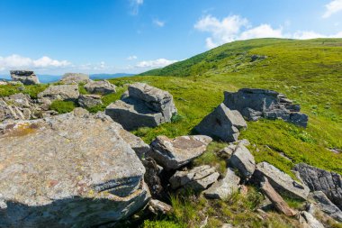 Alp yamacı çayırındaki kayalar. Güzel yaz doğa manzarası. Tepelerde yeşil çimenler ve mavi gökyüzünde tüylü bulutlar. Karpatların çarpıcı dağ manzarası