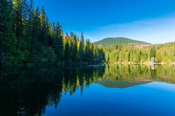 高山湖中的针叶林 在平静的水中反射着晨曦般的自然风光 春天里阳光灿烂 蓝天万里无云 Synevyr National Park Ukraine — 图库照片