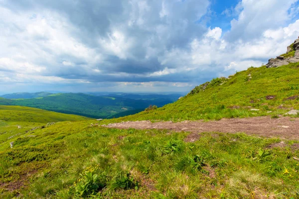 Stig Genom Bergskedja Vackra Alpina Ängar Karpatiskt Landskap Mulen Dag — Stockfoto