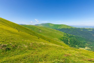 Borzhava Dağı 'nın yeşil tepeleri. Mavi gökyüzünün altında, bulutlu çimenli alp çayırları. Karpat Dağları 'nın güzel yaz manzarası. uzaktaki velykyy verkh zirvesi