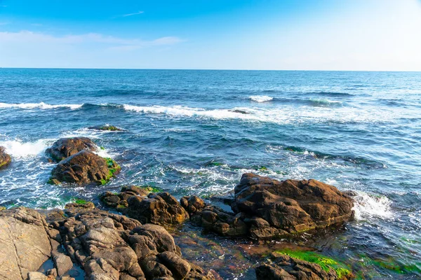 Rotsachtige Zeekust Ochtend Rustig Zonnig Weer — Stockfoto