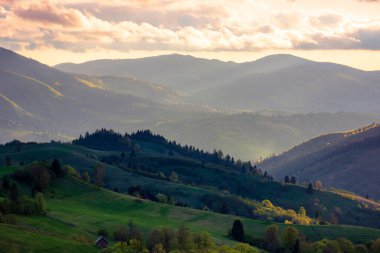 Dağlık kırsal alan. Ormanlı tepelerdeki tarla tarlaları. Gün batımında bulutlu gökyüzü olan güzel ve canlı kırsal alan.