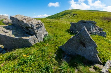 Alp yamacı çayırındaki kayalar. Harika bir yaz manzarası. Tepelerde yeşil çimenler ve mavi gökyüzünde tüylü bulutlar. Karpatların güzel dağ manzarası