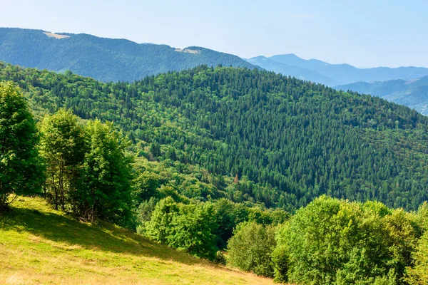 夏天阳光灿烂的山景 美丽的风景 山坡上有树木 蓝天下有蓬松的云彩 在晴朗的日子里 远处的山脊清晰可见 — 图库照片