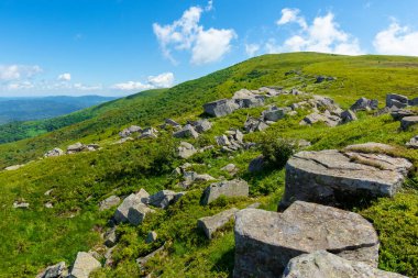 Alp yamacı çayırındaki kayalar. Güzel yaz doğa manzarası. Tepelerde yeşil çimenler ve mavi gökyüzünde tüylü bulutlar. Karpatların muhteşem dağ manzarası