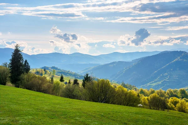 山中美丽的乡村风景 山丘上的田野和草地滚向远方的山脊 绿叶绿树成荫 春天阳光灿烂的日子里的自然景观 天空中蓬松的云彩 — 图库照片