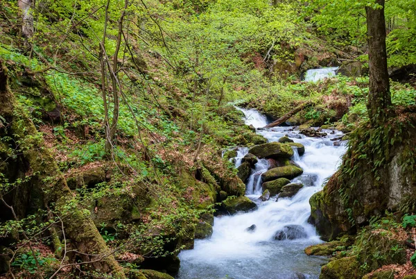 Rychlý Proud Vody Lese Silný Proud Mezi Mechem Porostlými Skálami — Stock fotografie