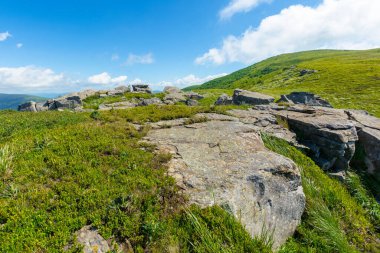 Alp yamacı çayırındaki kayalar. Harika bir yaz manzarası. Tepelerde yeşil çimenler ve mavi gökyüzünde tüylü bulutlar. Karpatların muhteşem dağ manzarası
