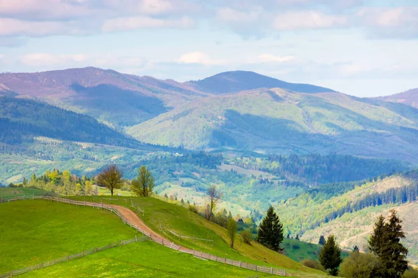 rural landscape in mountains. trees along the path through grassy hill. beautiful nature scenery in spring. wonderful weather with clouds