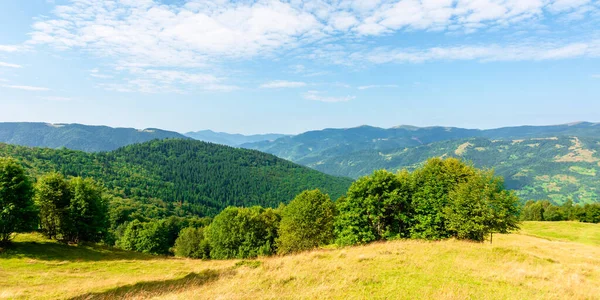 Sonnige Berglandschaft Sommer Schöne Landschaft Mit Bäumen Auf Einer Hangwiese — Stockfoto
