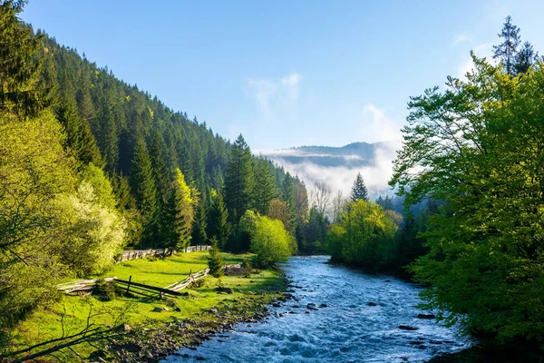 Berg Rivier Een Mistige Zonsopgang Prachtige Natuur Met Mist Rollend — Stockfoto