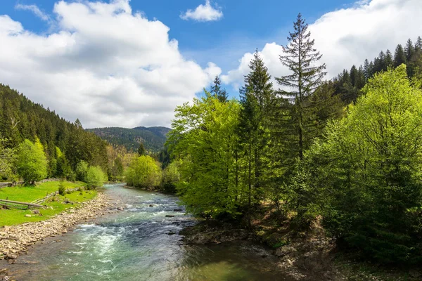 Ορεινό Ποτάμι Ανάμεσα Στο Δάσος Την Άνοιξη Δέντρα Γρασίδι Και — Φωτογραφία Αρχείου