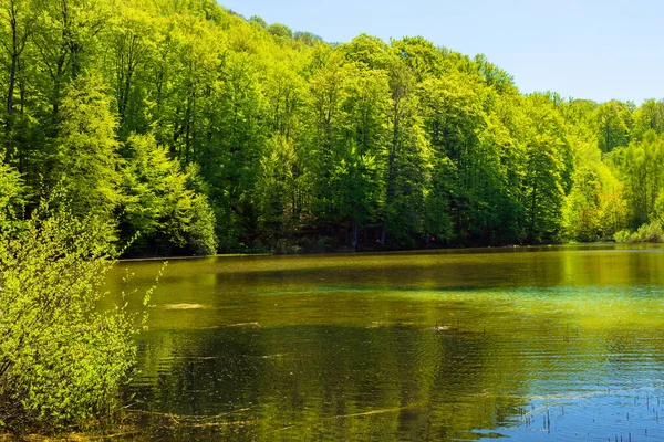 針葉樹林の間の山の湖の風景 昼過ぎの春の大自然風景 — ストック写真