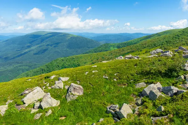 Rocks Alpine Hillside Meadow Beautiful Summer Nature Scenery Green Grass — Stock Photo, Image