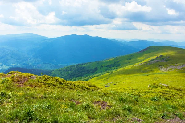 穿过山脉的小路 夏日多云的天气 喀尔巴阡山脉美丽的高山草甸 分水岭 — 图库照片
