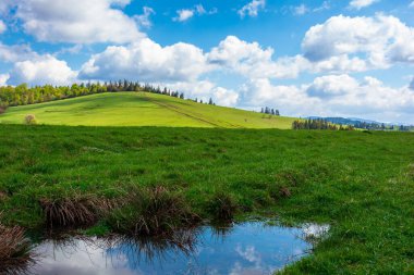 Tepenin üzerindeki bulutlarla harika güneşli bir hava. Yeşil çayırdaki yeşil çimlerin arasındaki su birikintisini yansıtan noktalı bir bağ, uzaktaki bir orman. Karpat Dağları 'nın muhteşem doğa manzarası