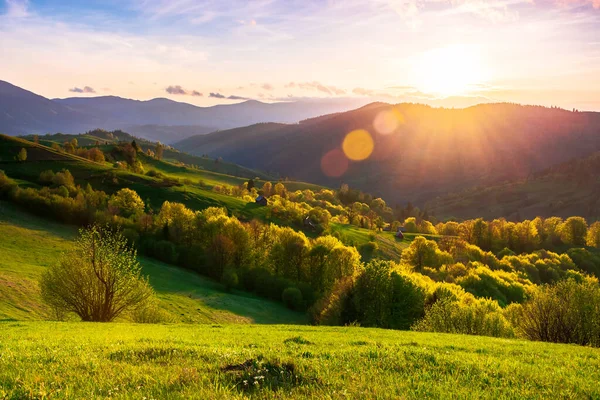 日落时分 山中的乡村风景 美丽的喀尔巴阡山脉风景 黄昏时分 草地在森林群山中摇曳 春天天气真好 — 图库照片