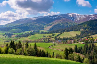 Güneşli bir ilkbahar gününde harika bir açık hava. Dağlardaki güzel kırsal alan. Çayırın arkasındaki orman taze yeşil çimlerle kaplı. Borzhava sırtı uzakta.
