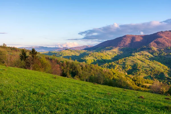 Landschaft Den Bergen Bei Sonnenuntergang Wunderschöne Karpatenlandschaft Mit Wiesen Die — Stockfoto