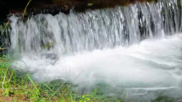 cascade d'eau dans la forêt parmi l'herbe. beaux paysages de la nature dans la lumière tamisée 