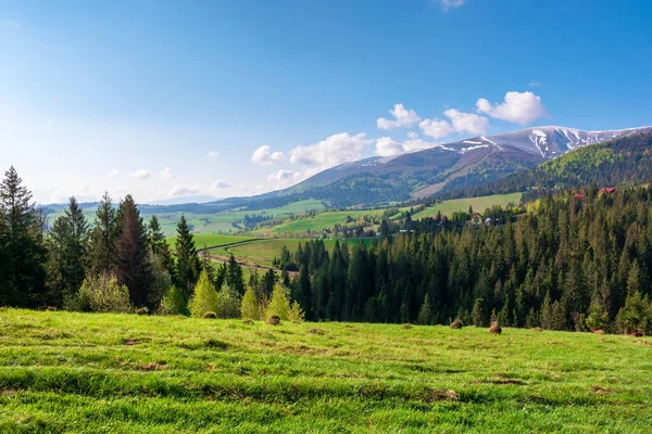 Einem Sonnigen Frühlingstag Freien Schöne Landschaft Den Bergen Wald Hinter — Stockfoto