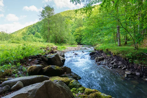 Rapid Mountain Nehri Nin Güzel Manzarası Lkbaharda Yosunlu Kayalar Arasında — Stok fotoğraf