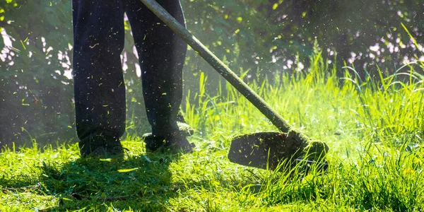芝生の手入れだ 庭で草を刈るプロ — ストック写真