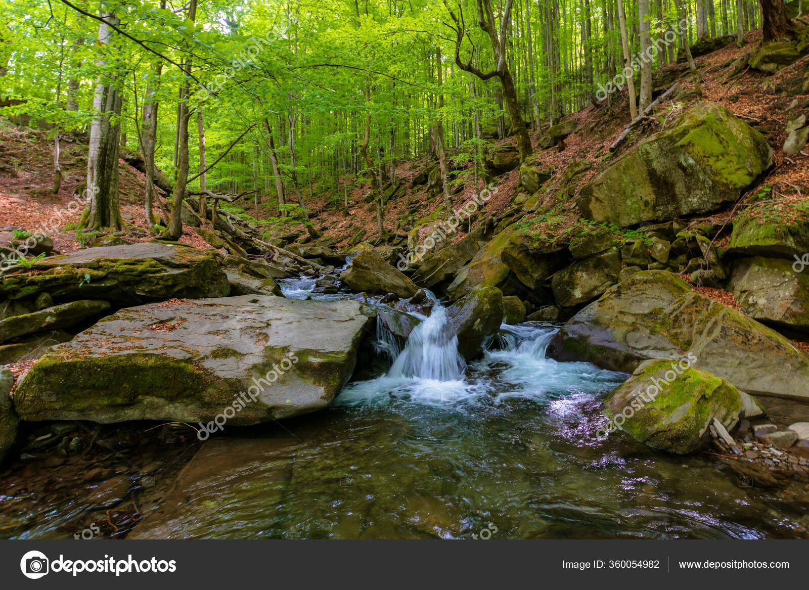 이현공원의 아름다운 풍경 감상하기, image size:1600x1167