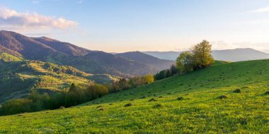 Gün batımında dağlarda kırsal manzara. Karpatların güzel manzarası. Akşam vakti çayırları ormanlık tepelerde yuvarlanıyor. İlkbaharda harika bir hava