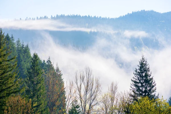 Βουνό Ομιχλώδη Ανατολή Φανταστική Φύση Τοπίο Ομίχλη Τροχαίο Πάνω Από Εικόνα Αρχείου