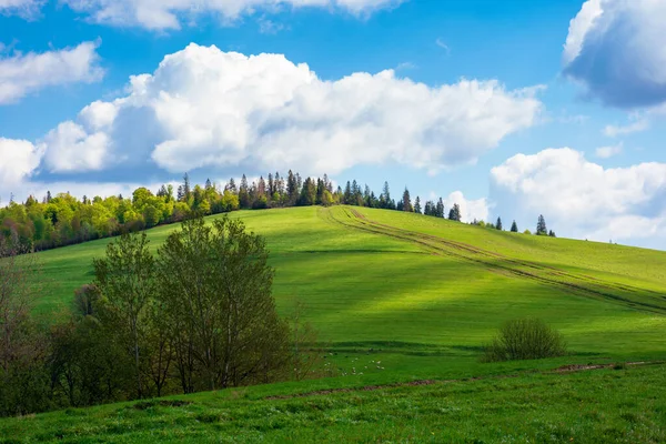 Beau Temps Ensoleillé Avec Des Nuages Dessus Colline Herbe Verte — Photo