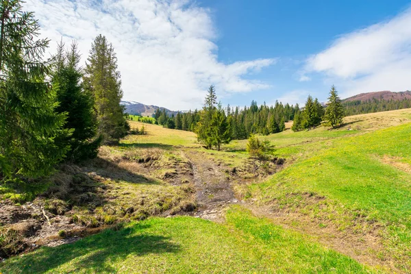 Hermoso Paisaje Montaña Primavera Árboles Prado Herboso Pequeño Arroyo Valle — Foto de Stock