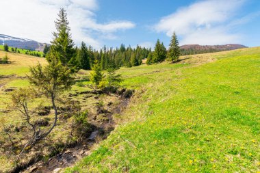 İlkbaharda güzel bir dağ manzarası. Çimenli çayırdaki ağaçlar. Vadide küçük bir dere. Uzak yamaçlardaki ormanlık tepelerde karla kaplı tepeler. cennet manzarası.