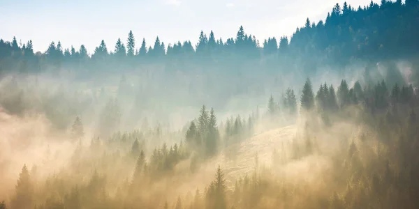 Kabut Atas Hutan Atas Bukit Cuaca Berkabut Misterius Pagi Hari — Stok Foto