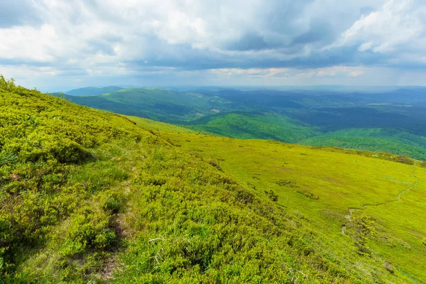 Weg Durch Das Gebirge Schöne Almen Der Karpaten Landschaft Einem — Stockfoto