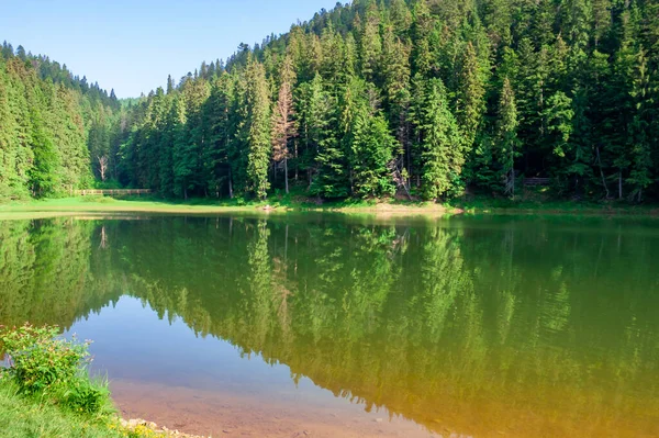 Lago Paisagem Verão Belo Cenário Entre Floresta Nas Montanhas — Fotografia de Stock