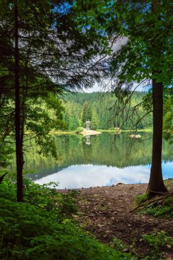 Dağlardaki orman arasında göl manzarası. Yazın güzel dağ manzarası. Synevyr Ulusal Parkı Ukraynalı Karpatların popüler varış yeridir. Sakin su yüzeyine yansıyan bulutlar